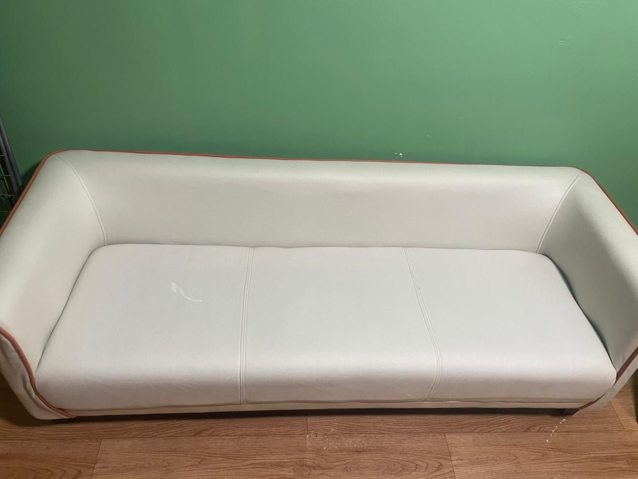 Продам диван  и цветы для интерьера
