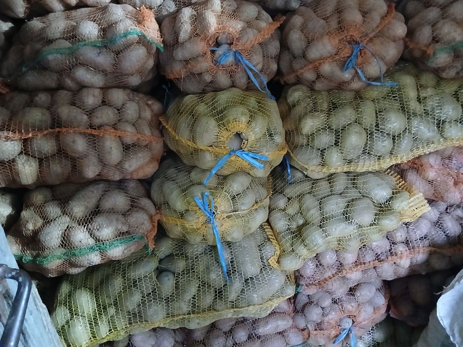 Vând cartofi consum