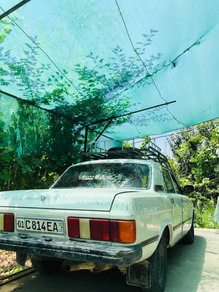 Volga Gaz 310290