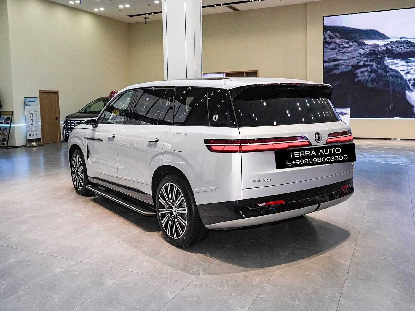 BYD Denza D9 и N9 электро и гибрид по заказу в кратчайшие сроки