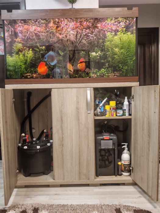 Acvariu Juwel 300 + mobilier + lampa Odyssea cu 4 neoane