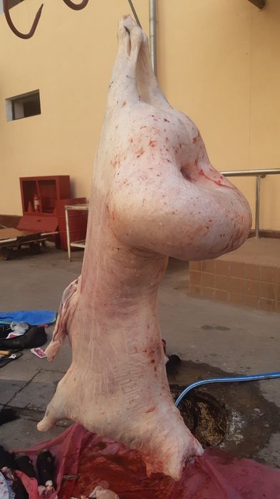 Qassob-qassob qassobchilik xizmati