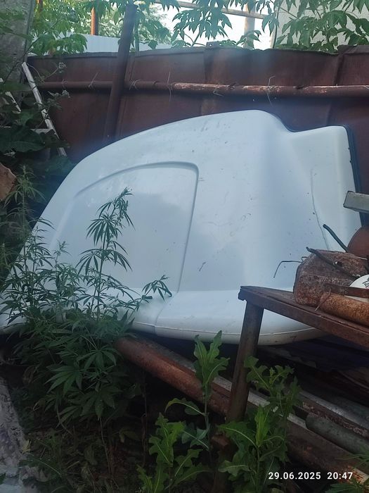 Продам спойлер газель нехст