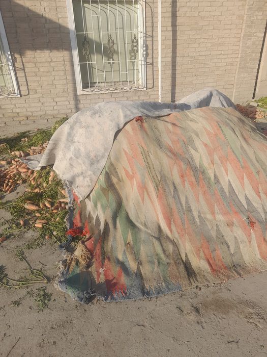 Sabri sotiladi optim