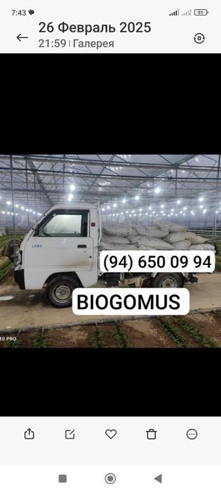 ЧУАЛЧАНГ, БИОГОМУС 500 су́м 1 кв