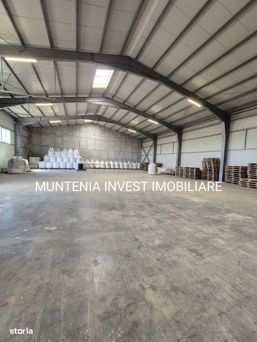 Hala 596 mp. com.Albota,DN65B.