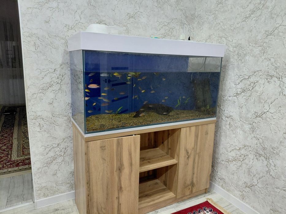 Продам аквариум,