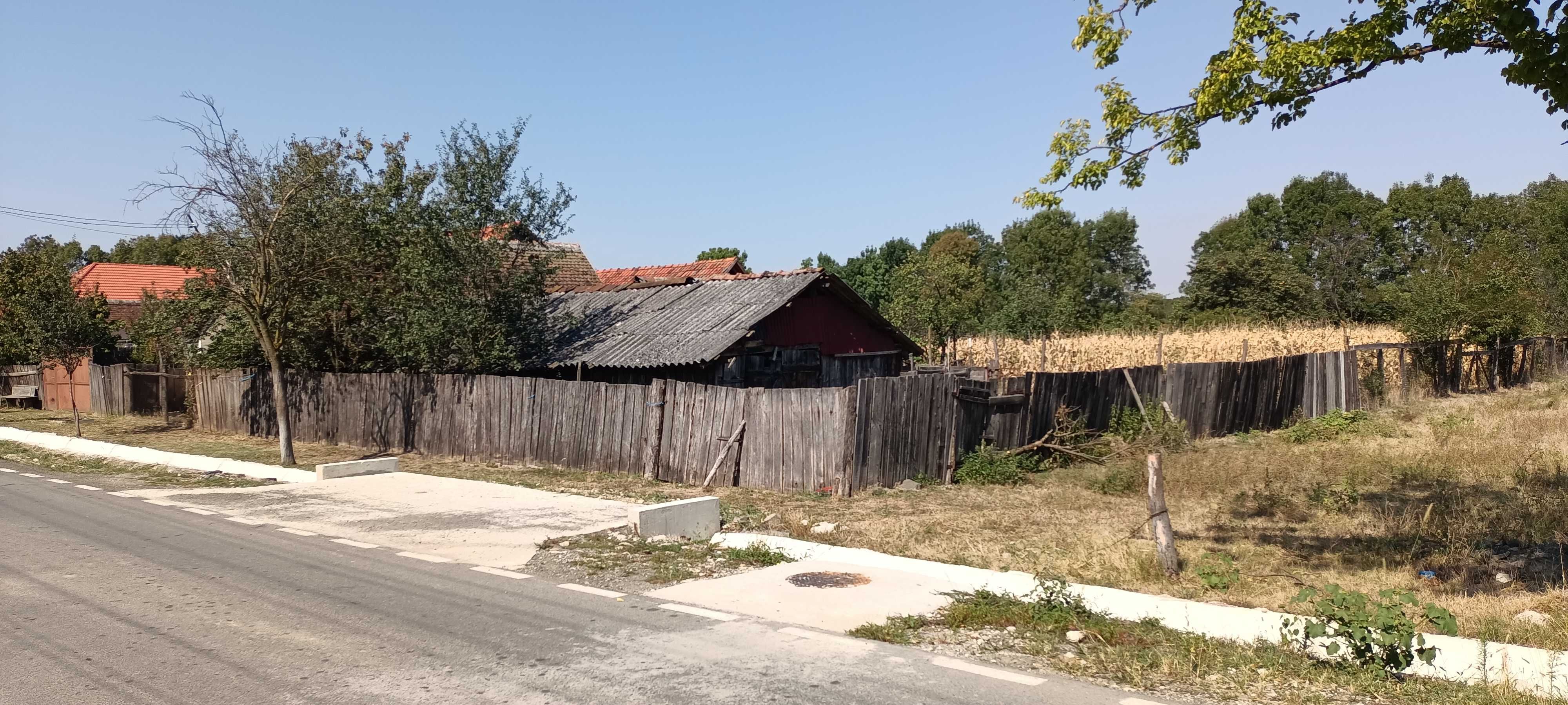 Casa cu teren generos