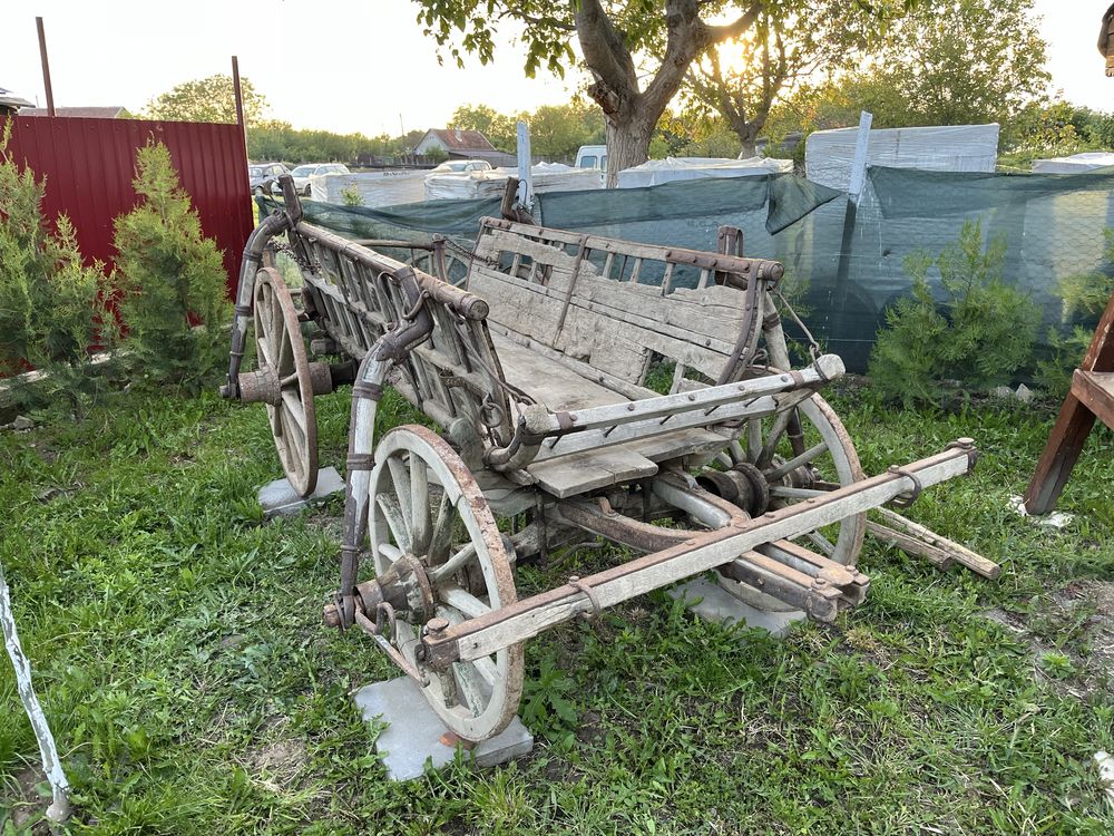 Caruța veche de 100 de ani
