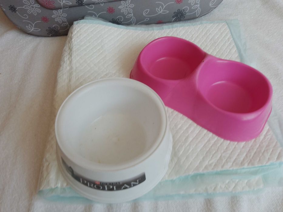 Geanta Transport pentru Caine talie mica sau Pisica si alte Accesorii