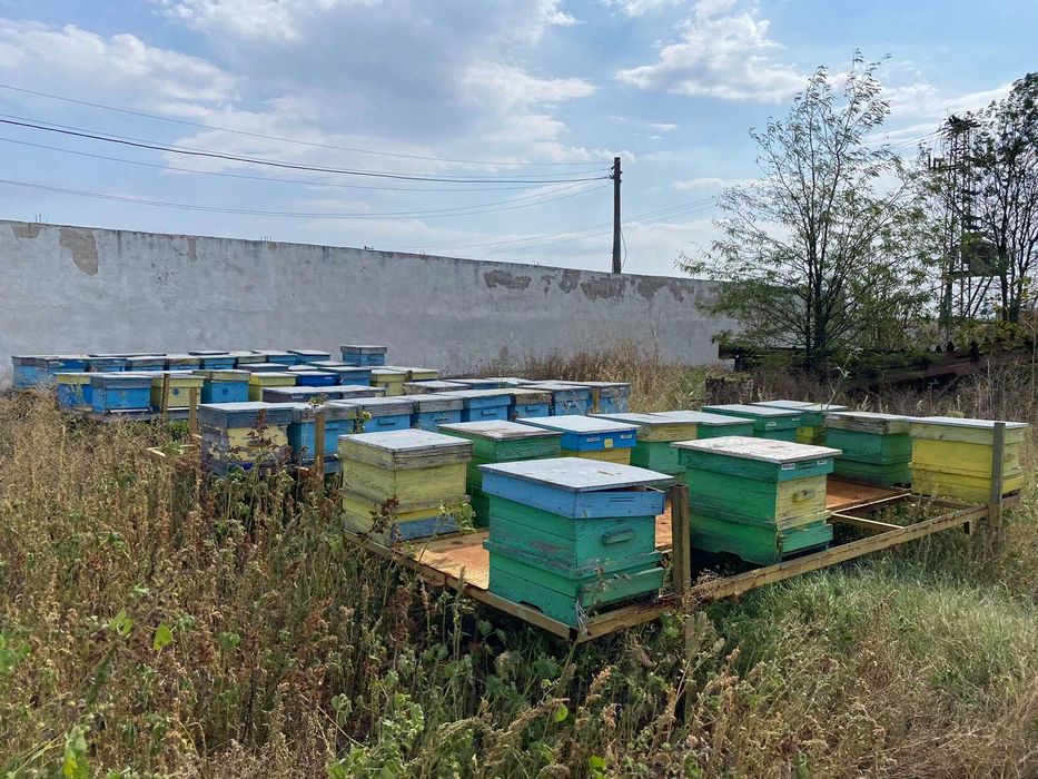 Пчеларски платформи за подвижно пчеларство