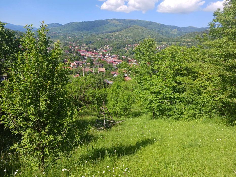 Teren de vânzare în Valea Doftanei