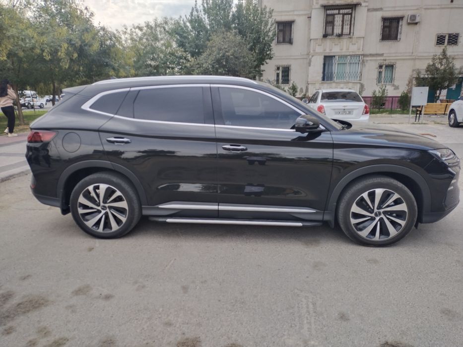 Byd song plus champion 2024