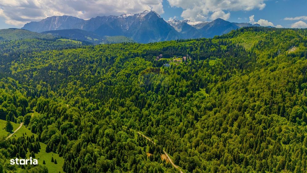 Teren extravlan 14,400mp Paraul Rece / Strada 3 brazi