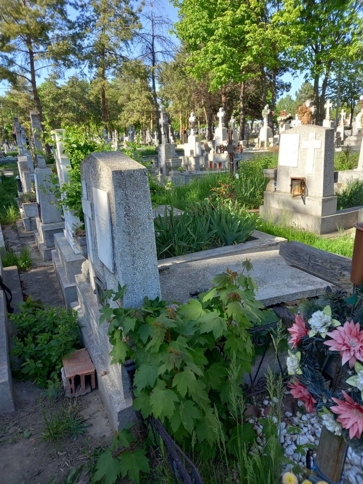 Loc de veci, cavou cu doua cripte - Cimitir Sf. Petru si Pavel