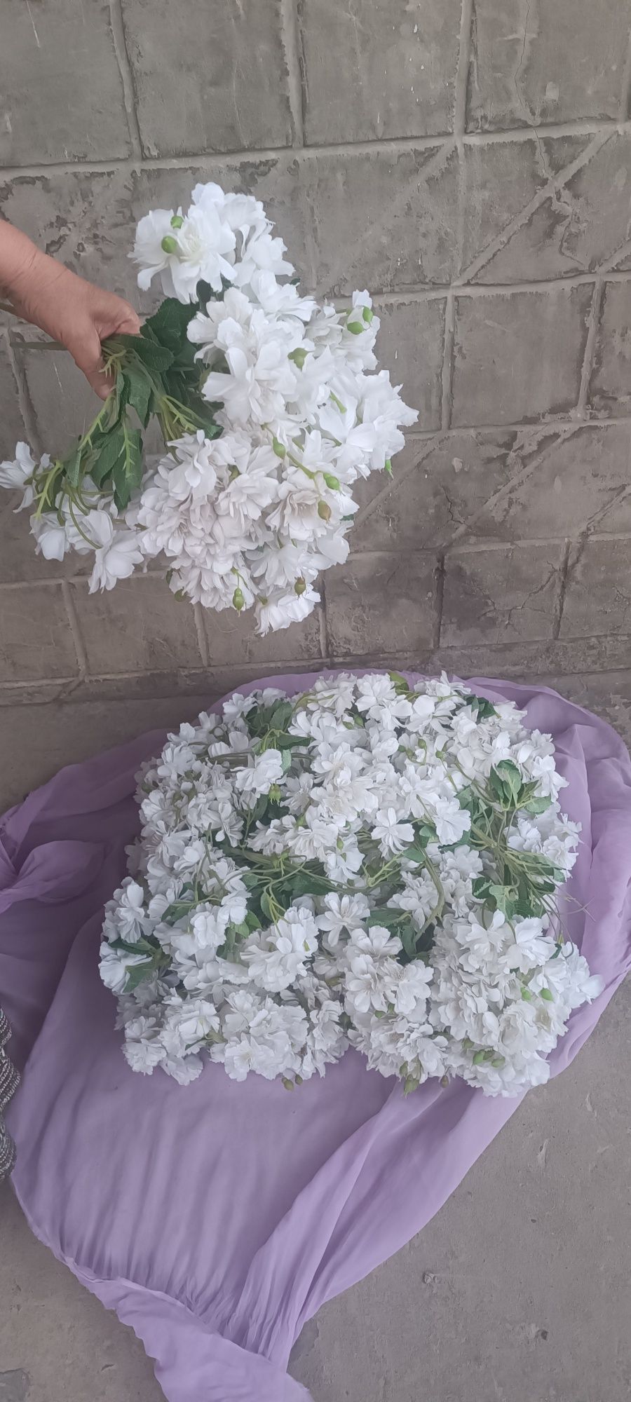 Суний хтой гуллари