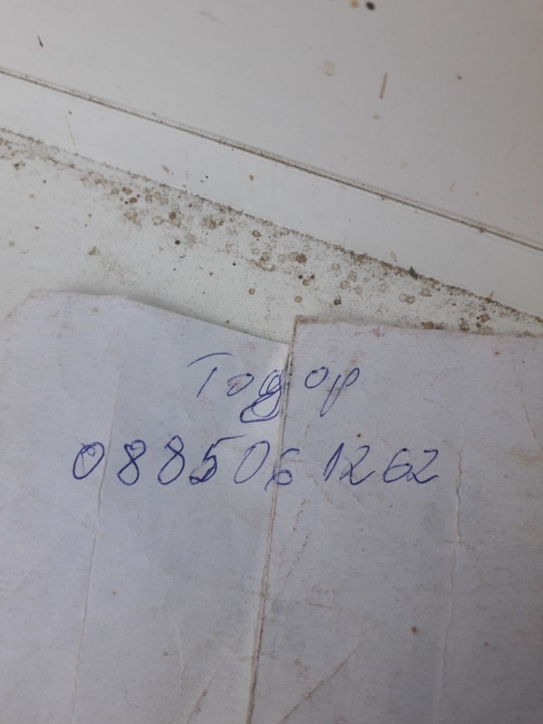 Продавам малки прасенца