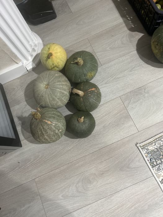 Тыквв дачная 1 кг 800 тенге