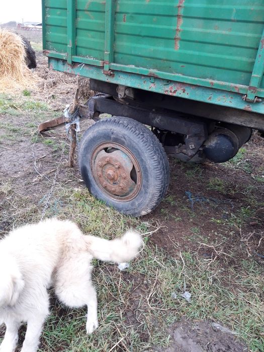 Remorca agricola basculabila cu doi cilindri și roata a 5 a  .