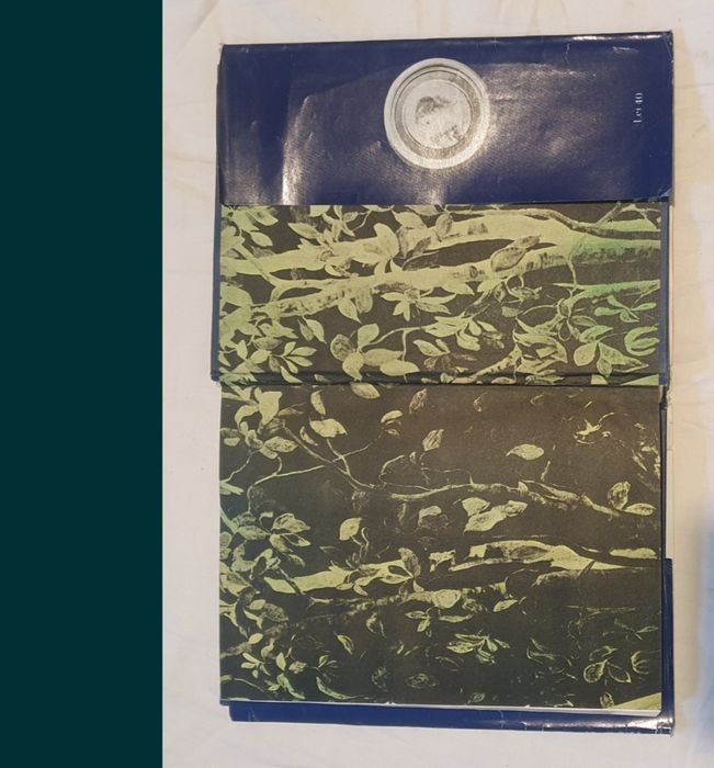 Itinerar inedit prinCaseVechi dinBucuresti1986