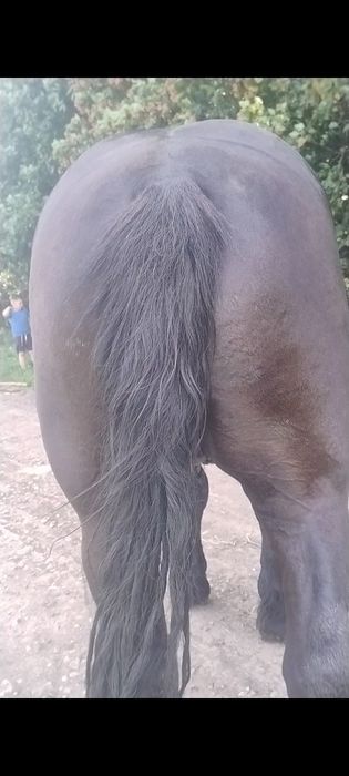 Manji negri garantati