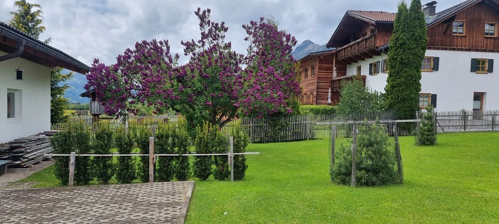 Apartament Brezoi