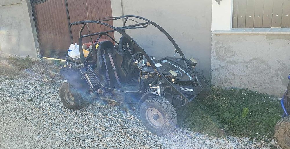Buggy quadzilla rl300