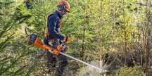 Inchiriez motocoasa cu fir taiat iarba motocoasa inchiriem defrisat
