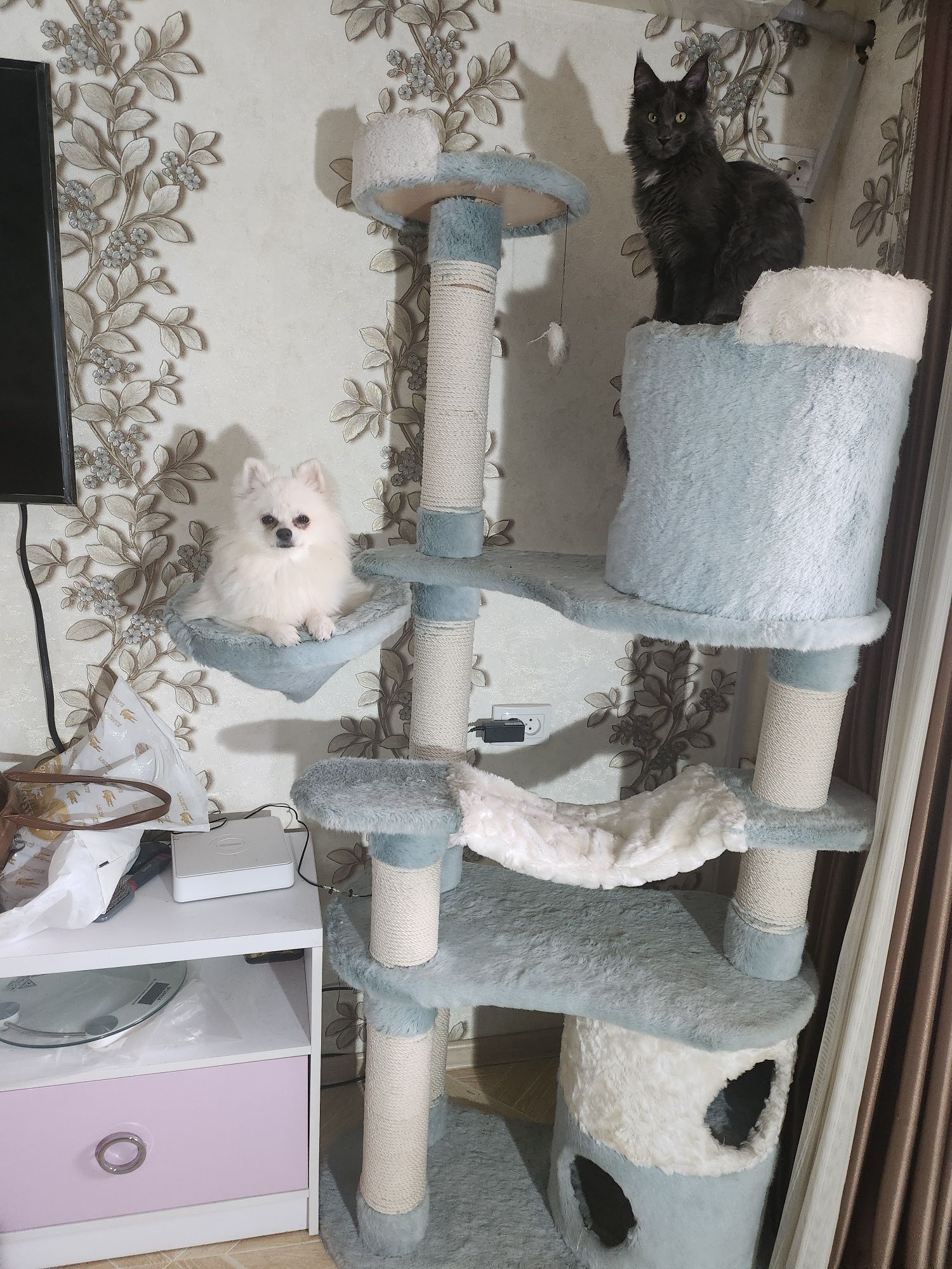 Продается котодомик