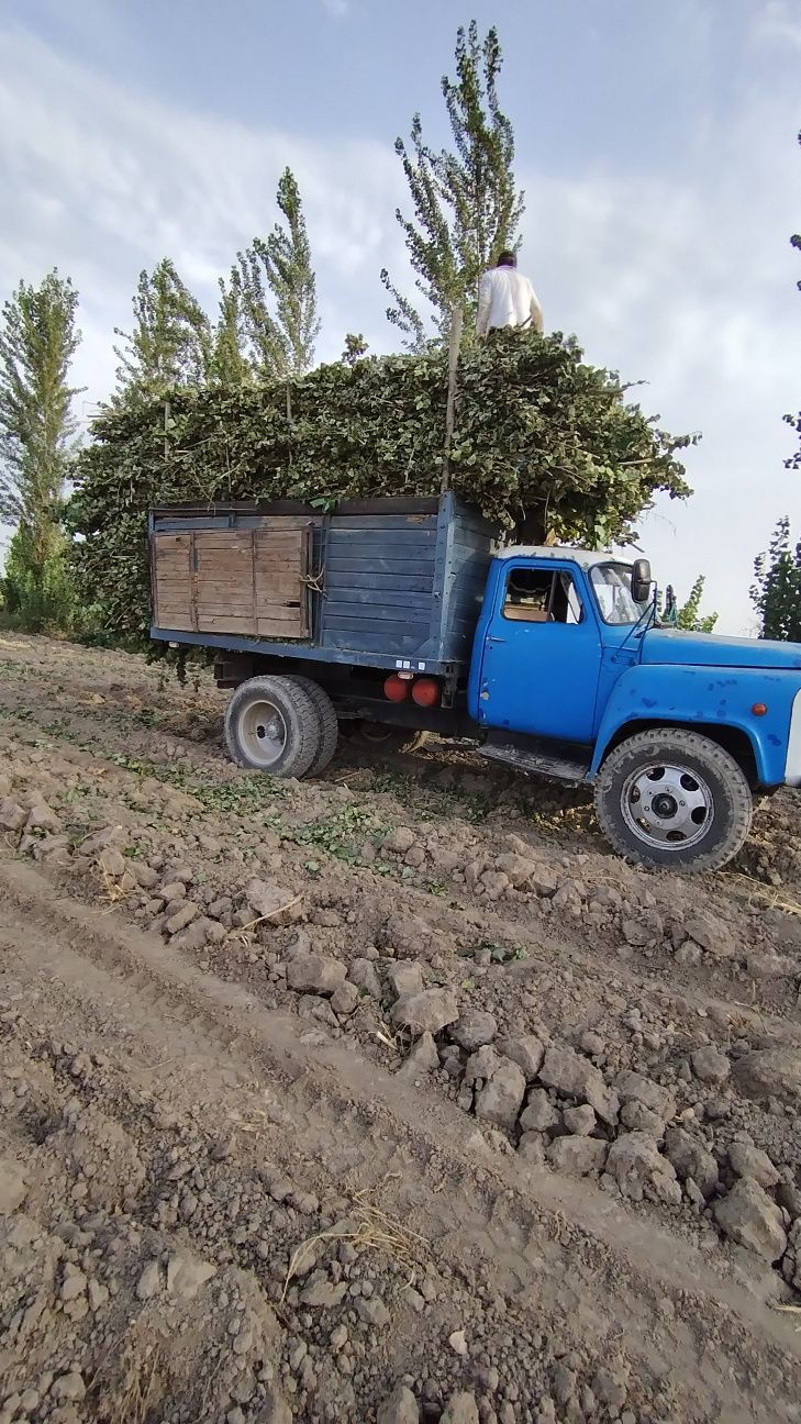 Gaz52 01 samasval
