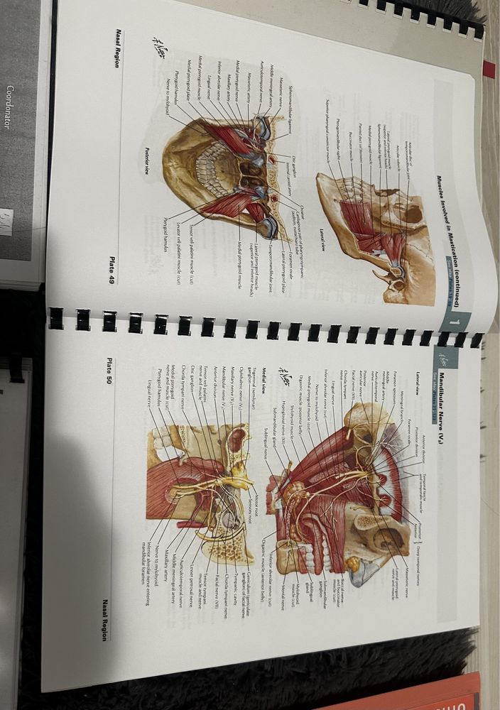 Materiale Admitere Medicina