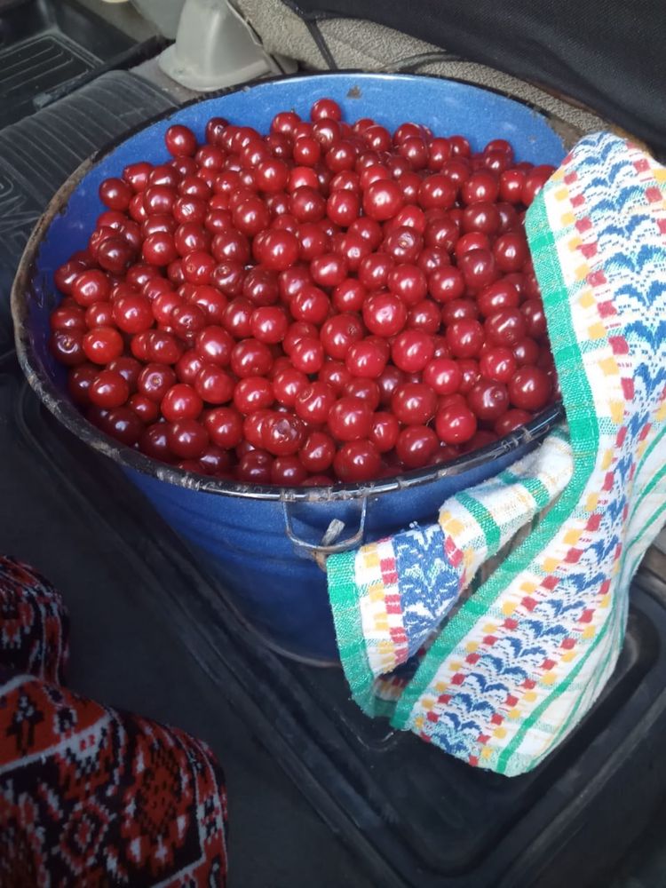 Продам вишню 10 литров