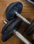 Gantere decathlon 2x10 kg