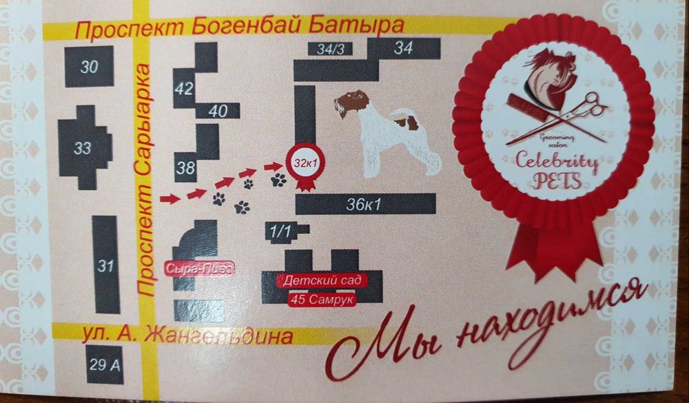 Стрижка Кошек и собак. груминг