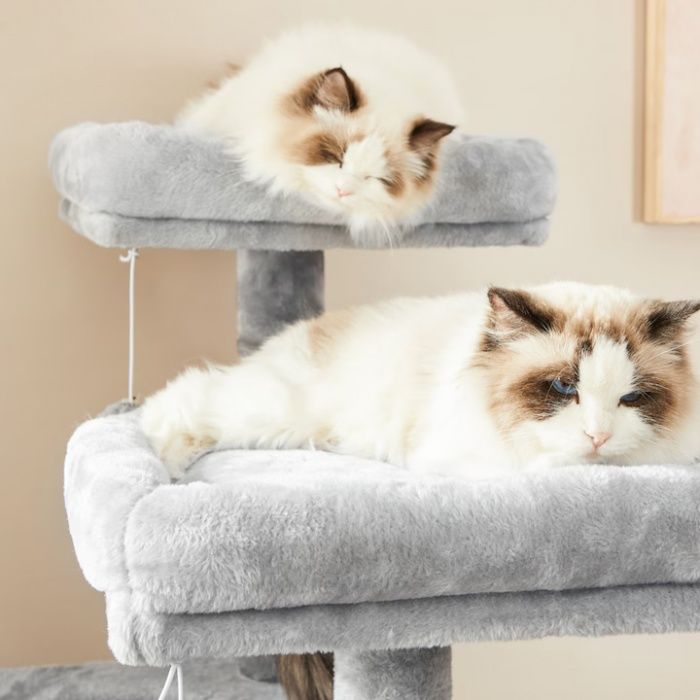 Ansamblu de joaca pentru pisici- Cat Tree 115cm