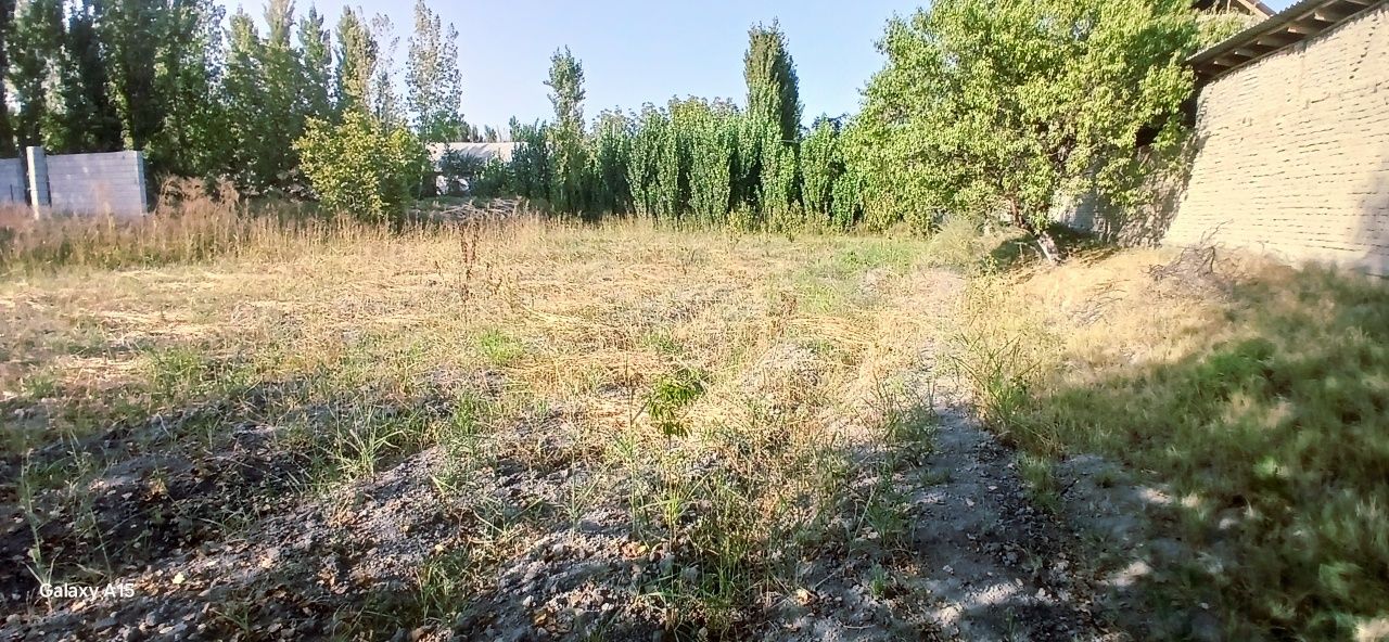 Chek sotiladi  16 sotix