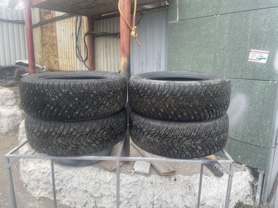 Nokian Hakkapeliitta