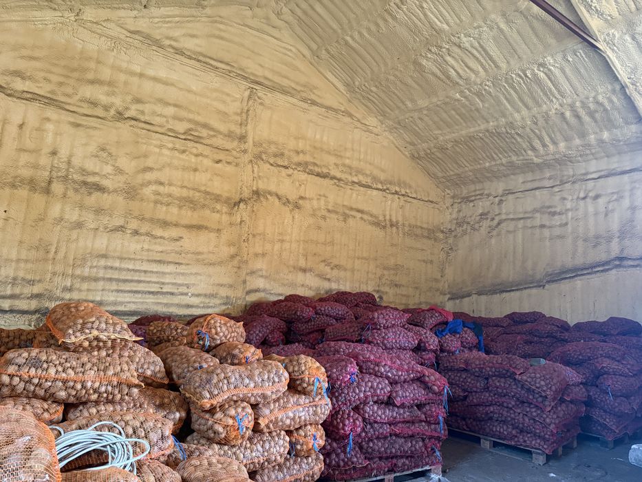 Cartofi de samanta sau animale