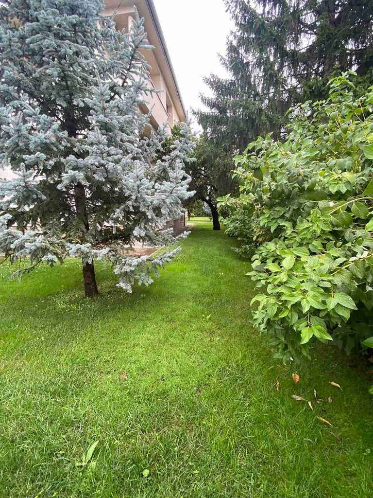 Продава се Къща в Баня - 390 кв.м за 744 €/кв.м - Снимка #4
