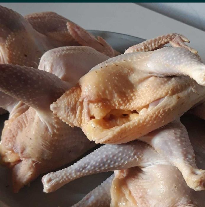 Мясо домашних кур