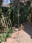 Sfesnic 5 brate evenimente sau decor