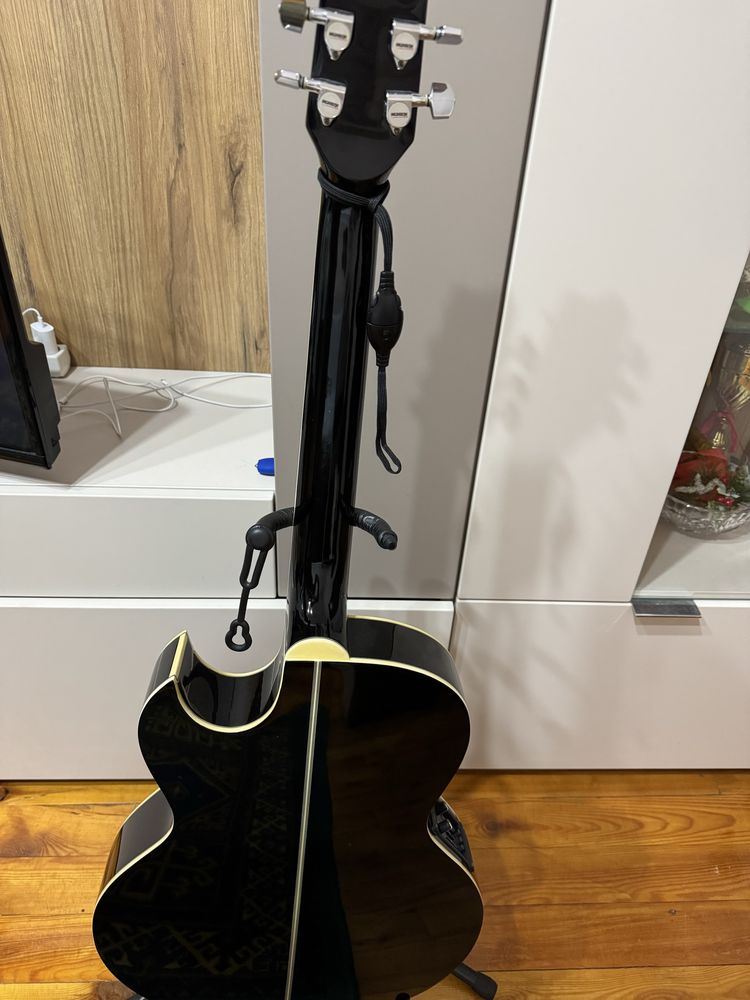 Washburn EA20 Festival series