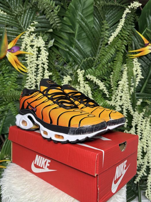 Nike Air Max Plus TN Sunset