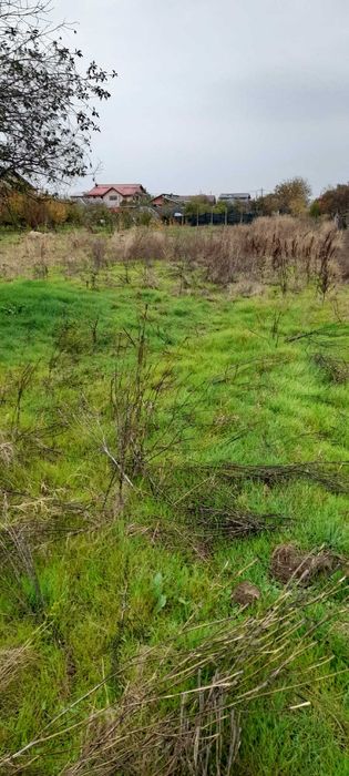 teren intravilan Mihailesti