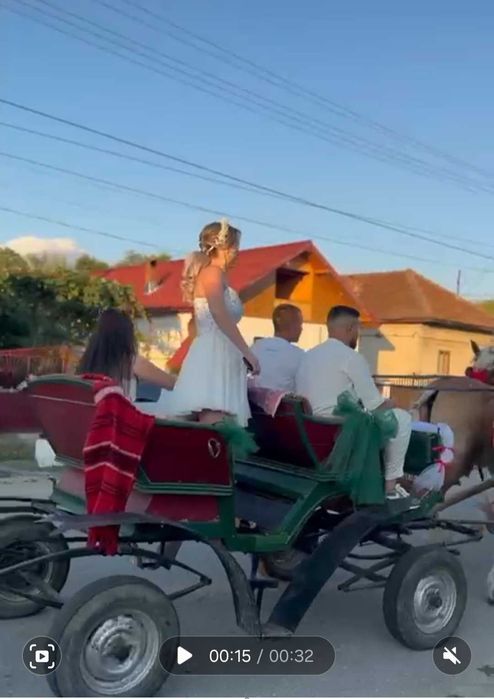 Vand trasura pentru cai