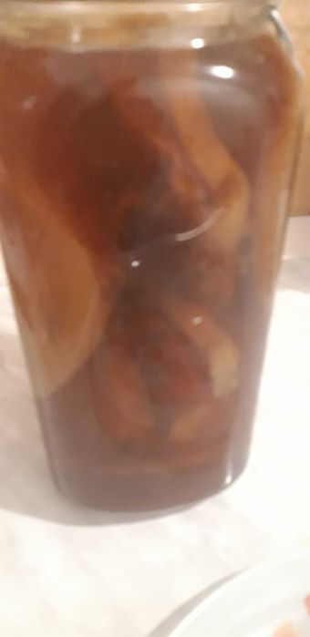 Ciuperca Kombucha ceai