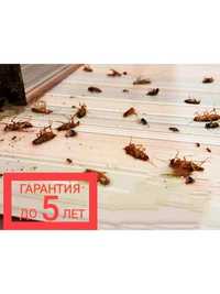 Уничтожение тараканов | Дезинфекция дизинфекция dezinfeksiya dizinfeks
