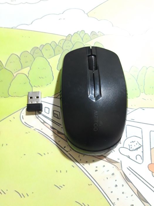 Sichqoncha (mishka) blutus