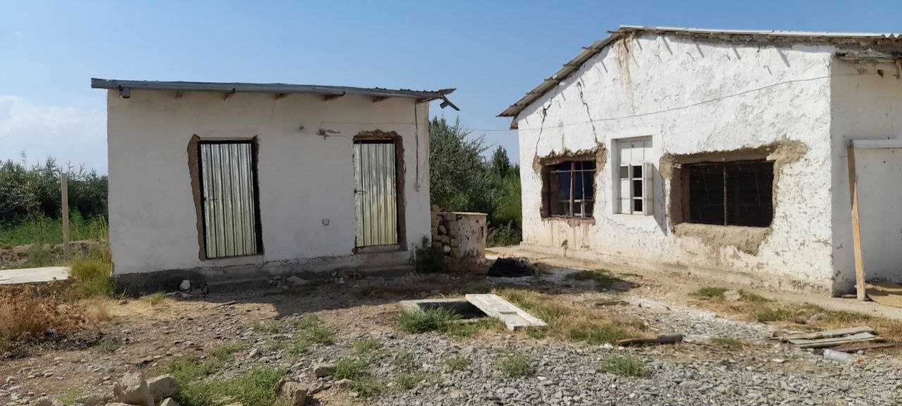 Parrandachilik fermasi