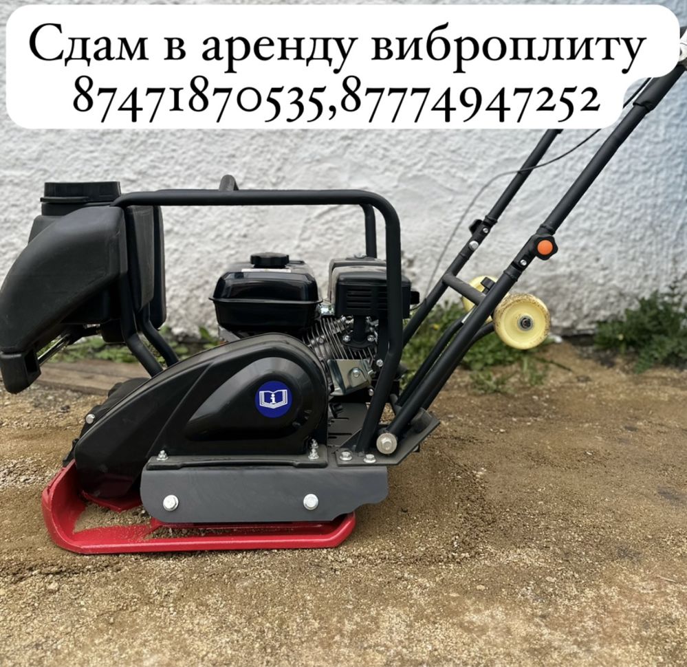 Сдам в аренду виброплиту